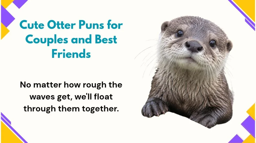 Cute Otter Puns for Couples and Best Friends