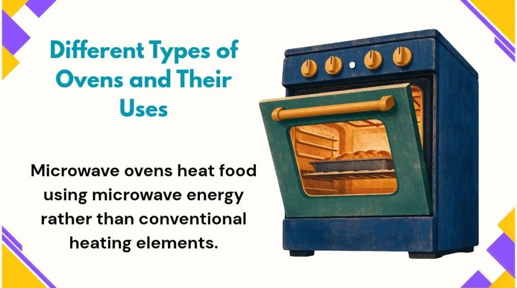 Different Types of Ovens and Their Uses
