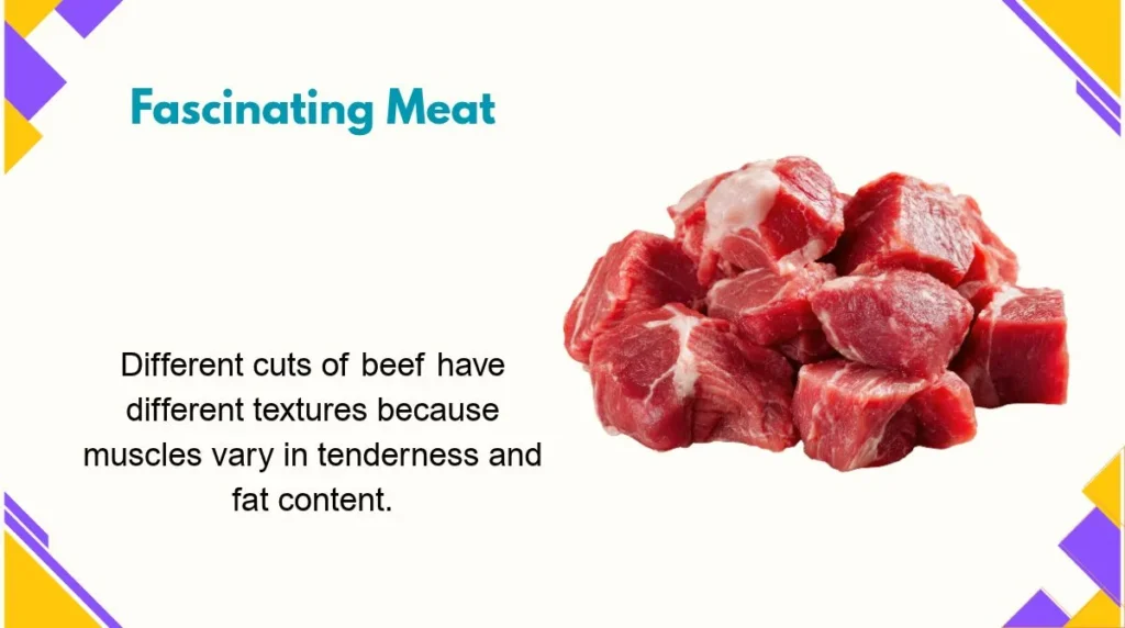 Fascinating Meat