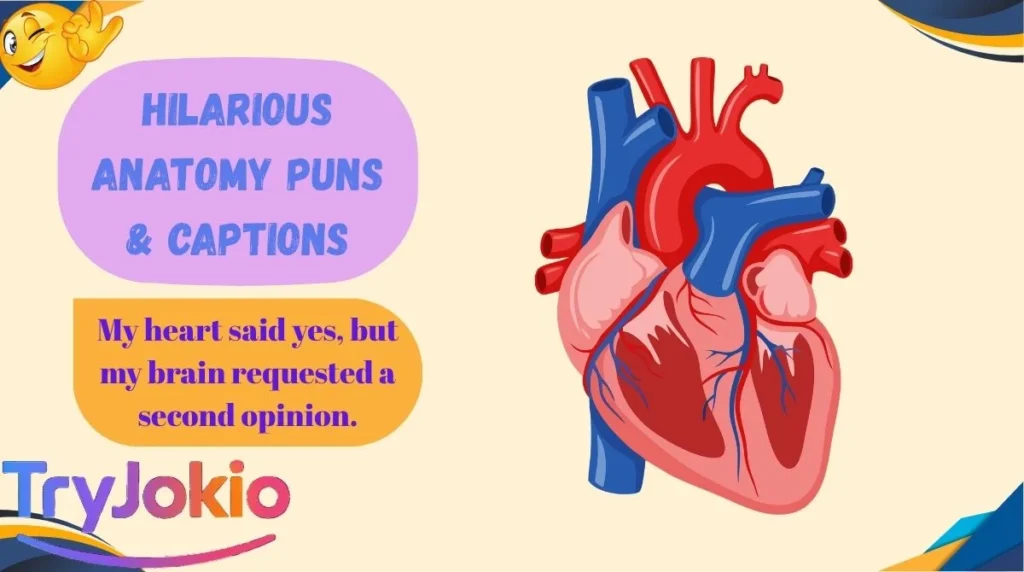 Hilarious Anatomy Puns & Captions