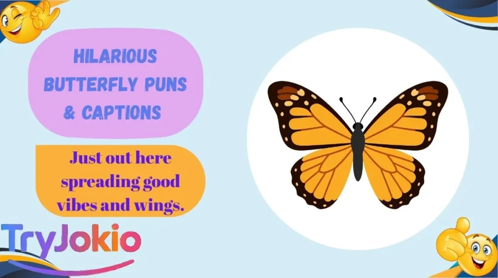 Hilarious Butterfly Puns & Captions 
