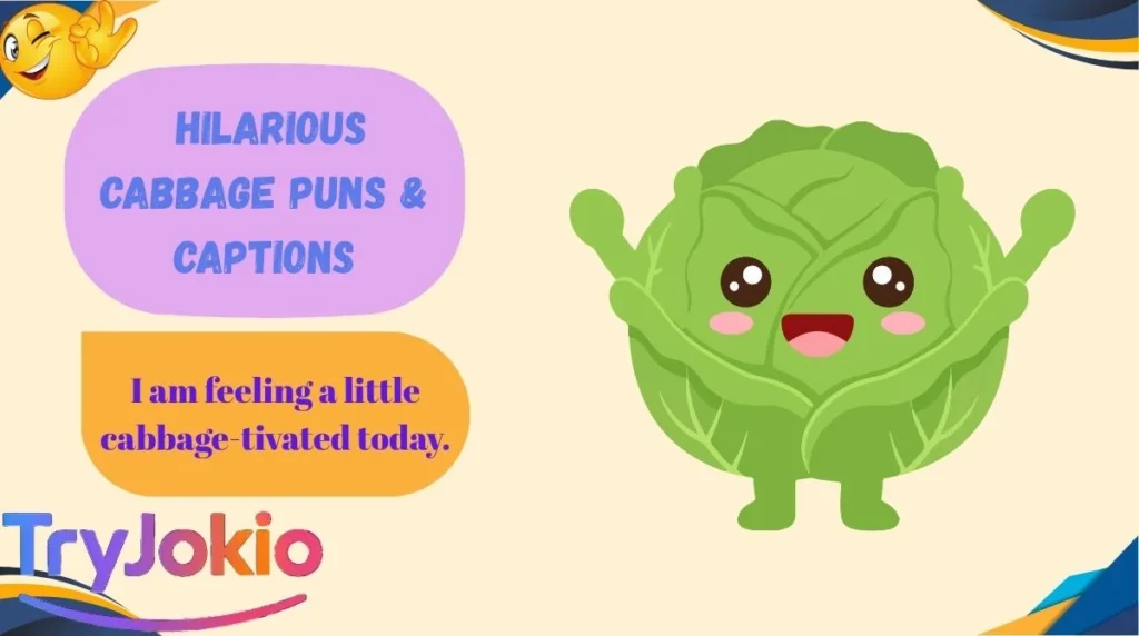 Hilarious Cabbage Puns & Captions