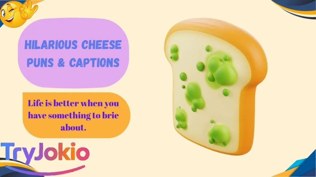 Hilarious Cheese Puns & Captions