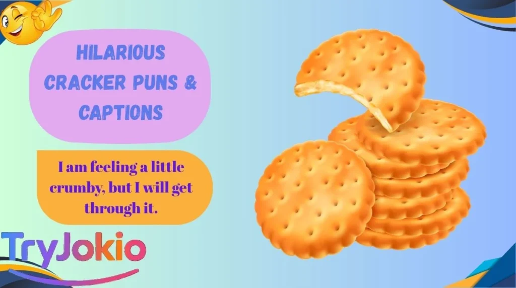 Hilarious Cracker Puns & Captions