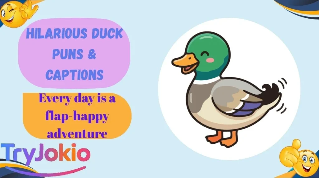 Hilarious Duck Puns & Captions