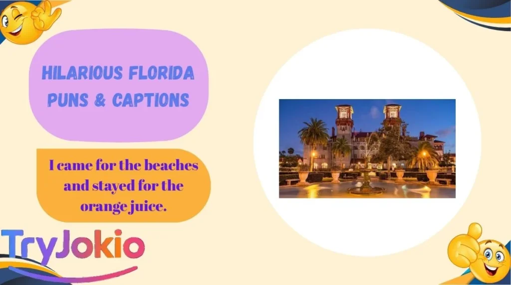 Hilarious Florida Puns & Captions
