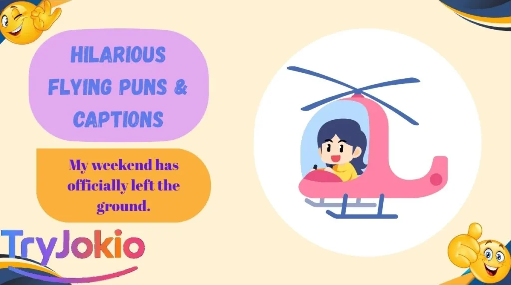 Hilarious Flying Puns & Captions