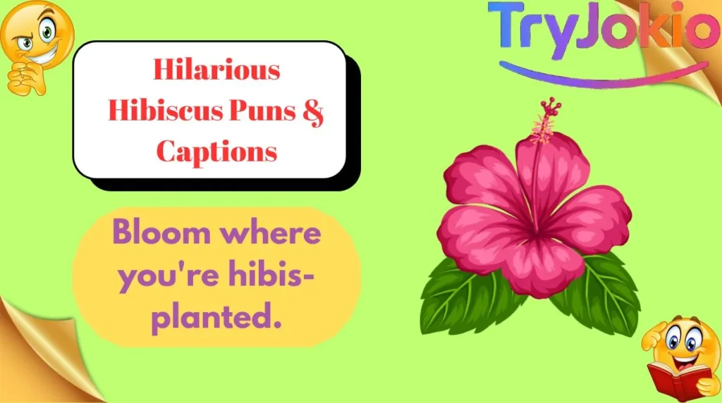 Hilarious Hibiscus Puns & Captions