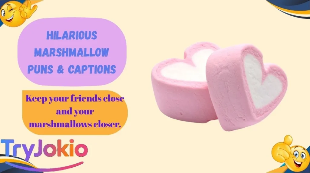 Hilarious Marshmallow Puns & Captions