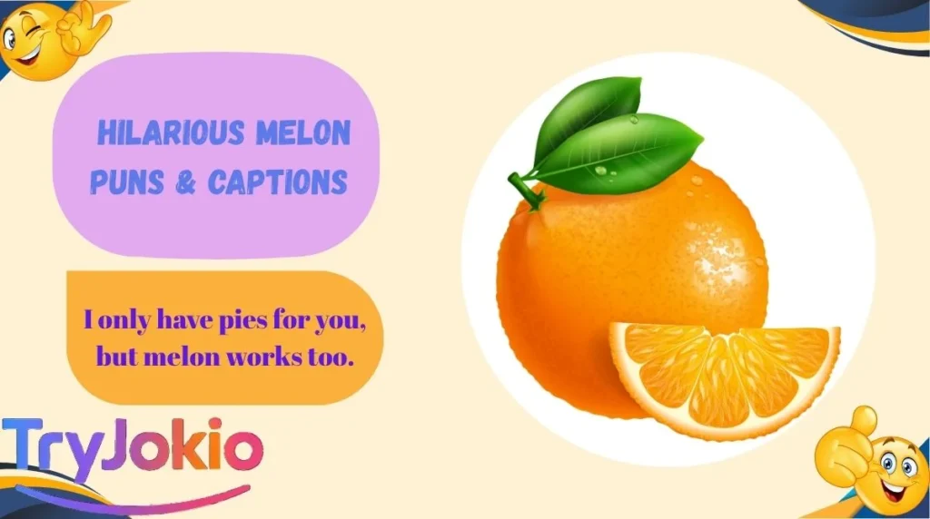 Hilarious Melon Puns & Captions