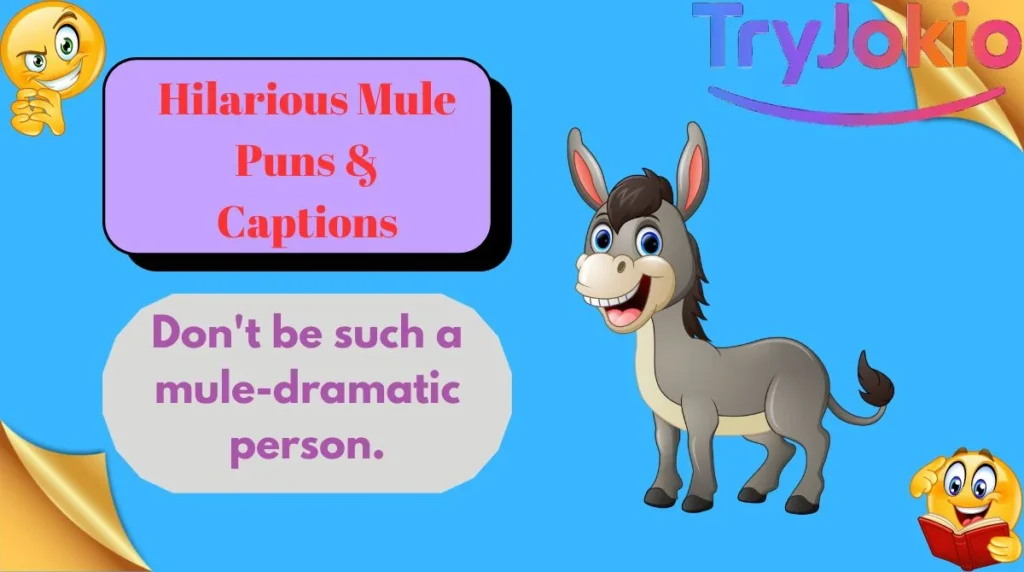 Hilarious Mule Puns & Captions