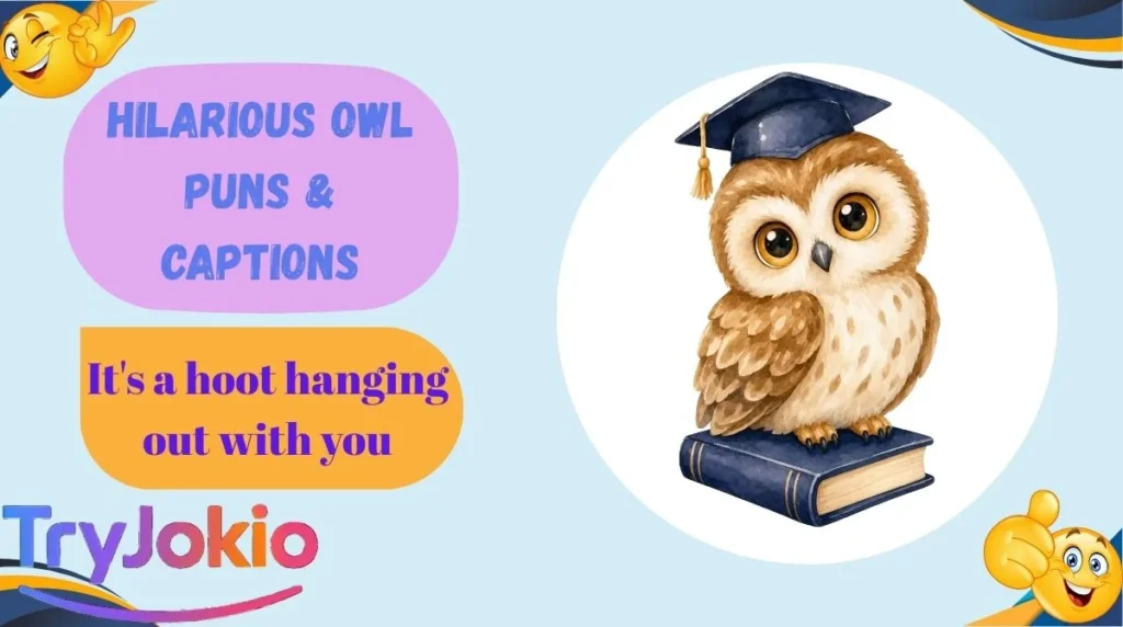 Hilarious Owl Puns & Captions