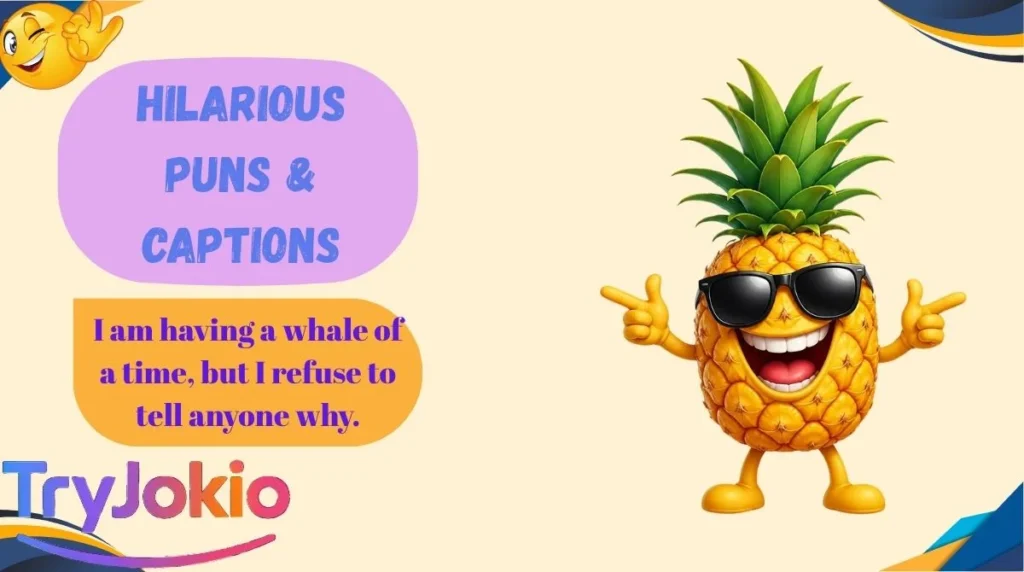 Hilarious Puns & Captions