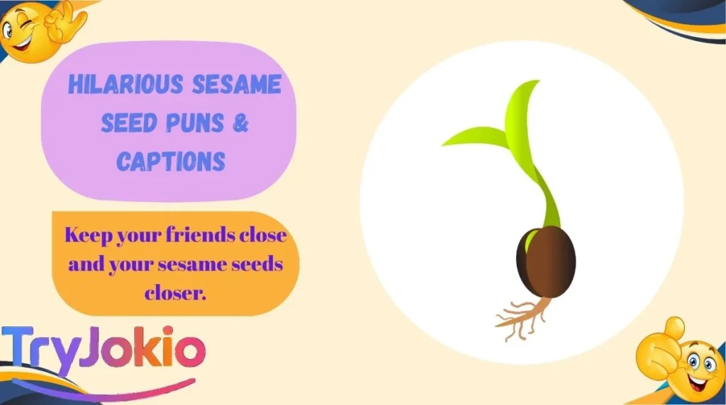 Hilarious Sesame Seed Puns & Captions