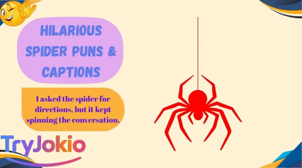 Hilarious Spider Puns & Captions