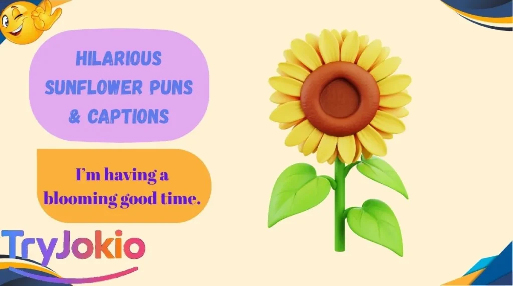 Hilarious Sunflower Puns & Captions