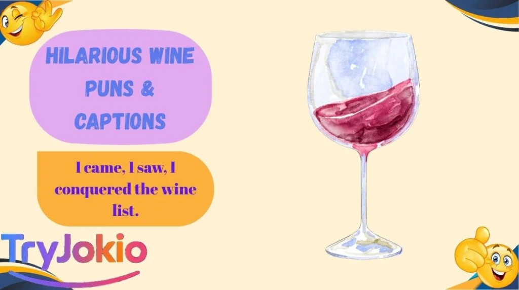 Hilarious Wine Puns & Captions
