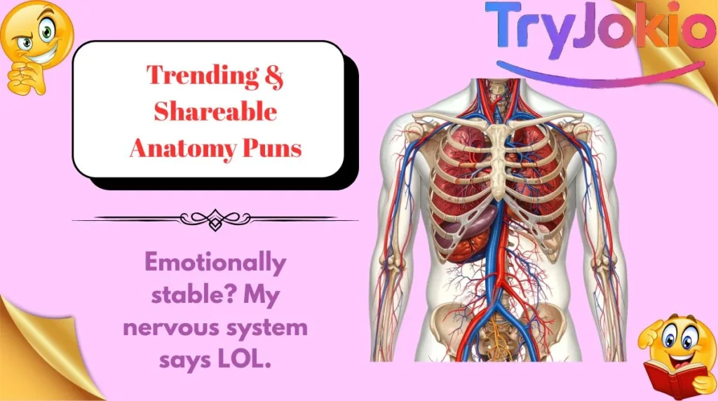 Trending & Shareable Anatomy Puns