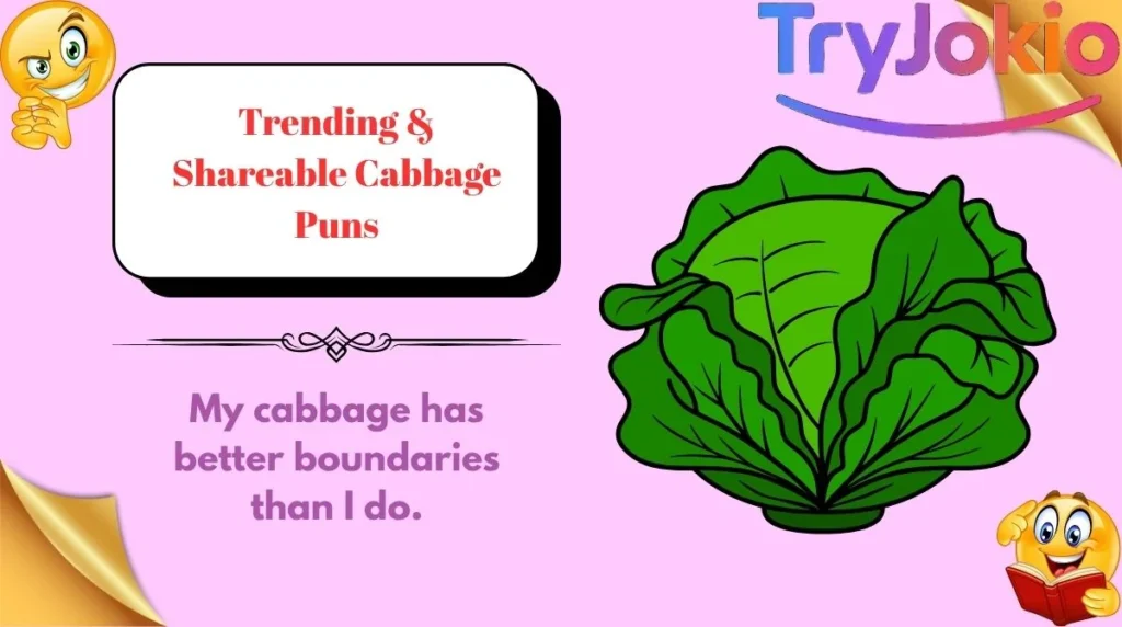 Trending & Shareable Cabbage Puns