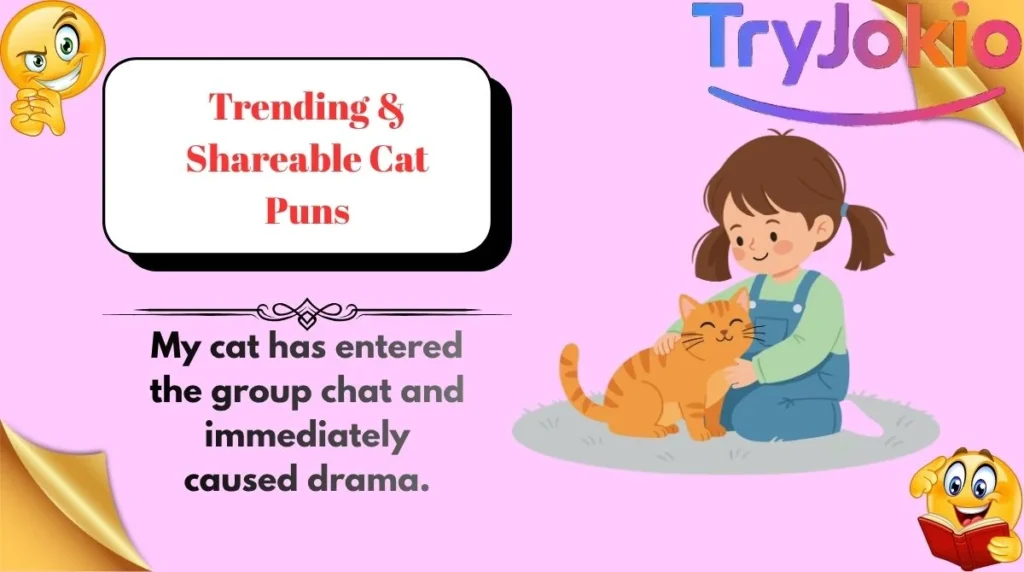 Trending & Shareable Cat Puns