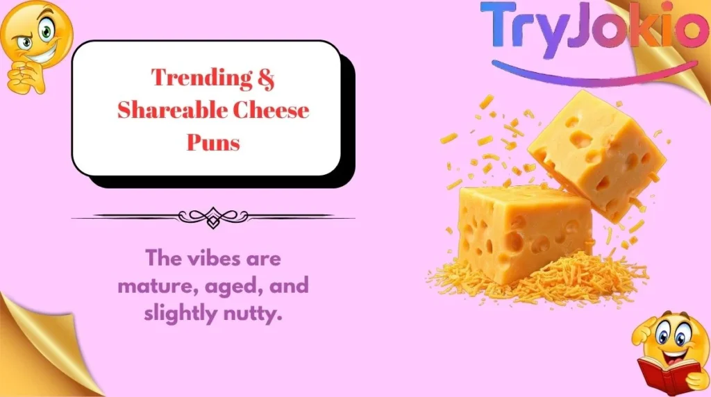 Trending & Shareable Cheese Puns