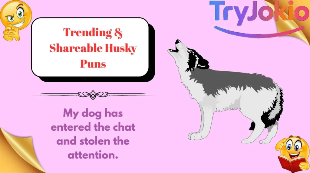 Trending & Shareable Husky Puns