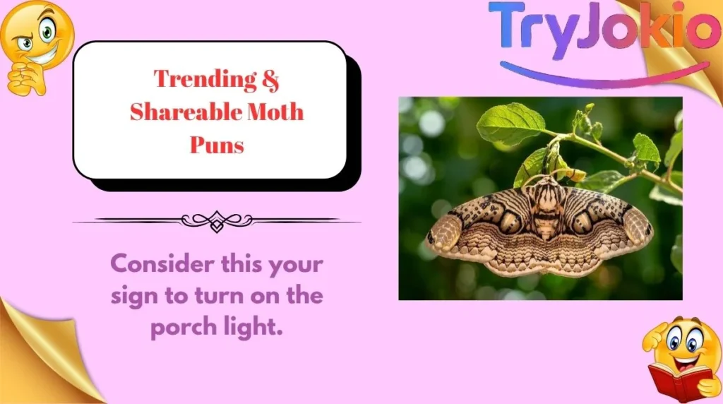 Trending & Shareable Moth Puns