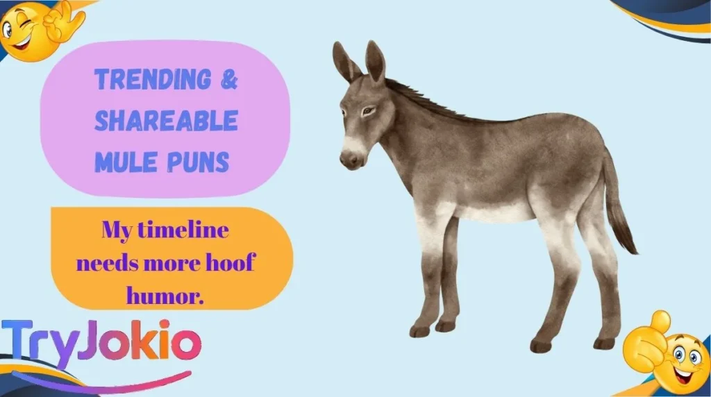 Trending & Shareable Mule Puns 