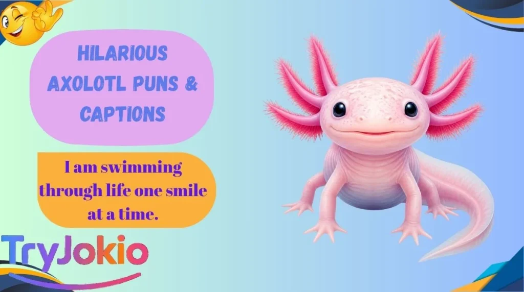 Hilarious Axolotl Puns & Captions