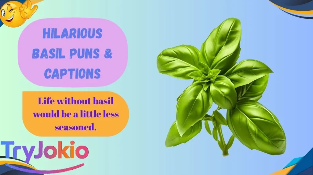 Hilarious Basil Puns & Captions