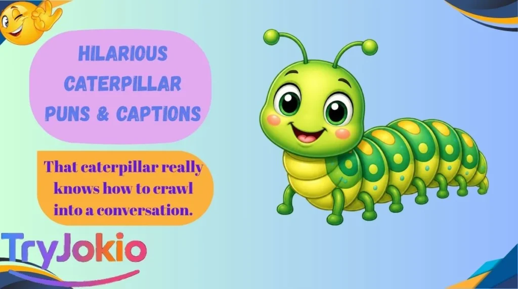 Hilarious Caterpillar Puns & Captions