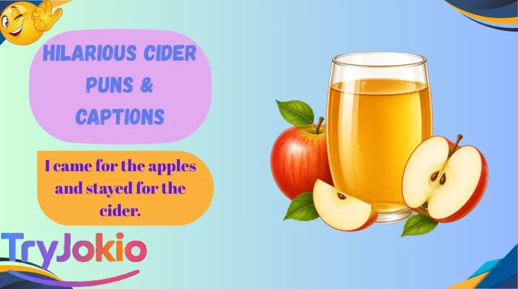 Hilarious Cider Puns & Captions