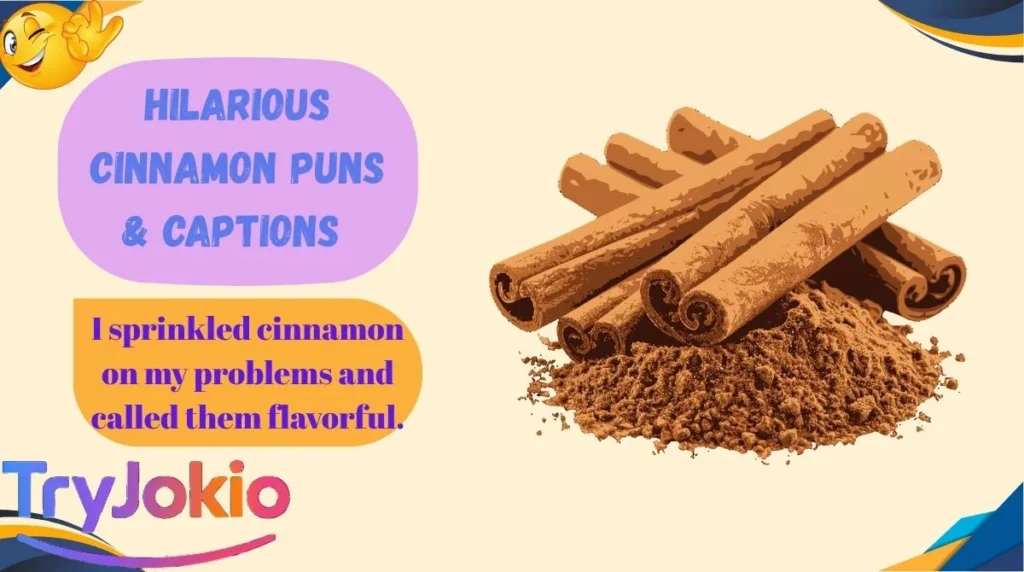 Hilarious Cinnamon Puns & Captions