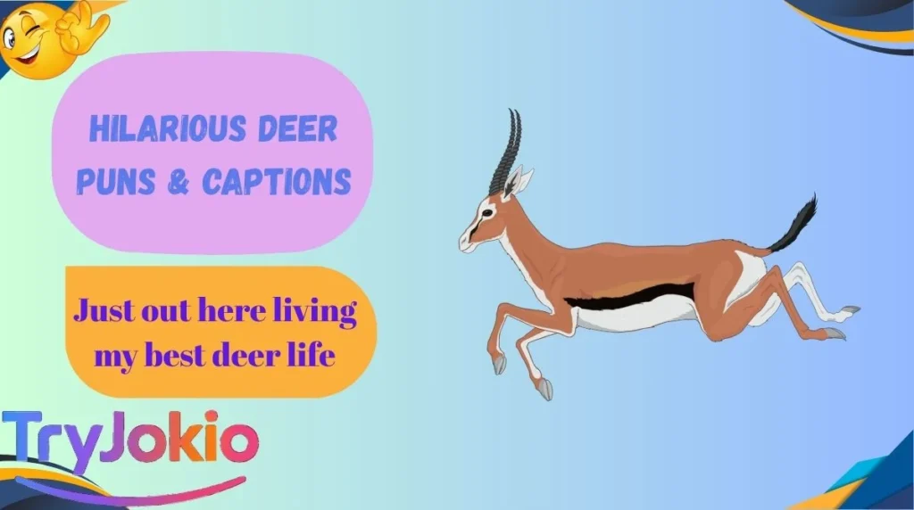 Hilarious Deer Puns & Captions
