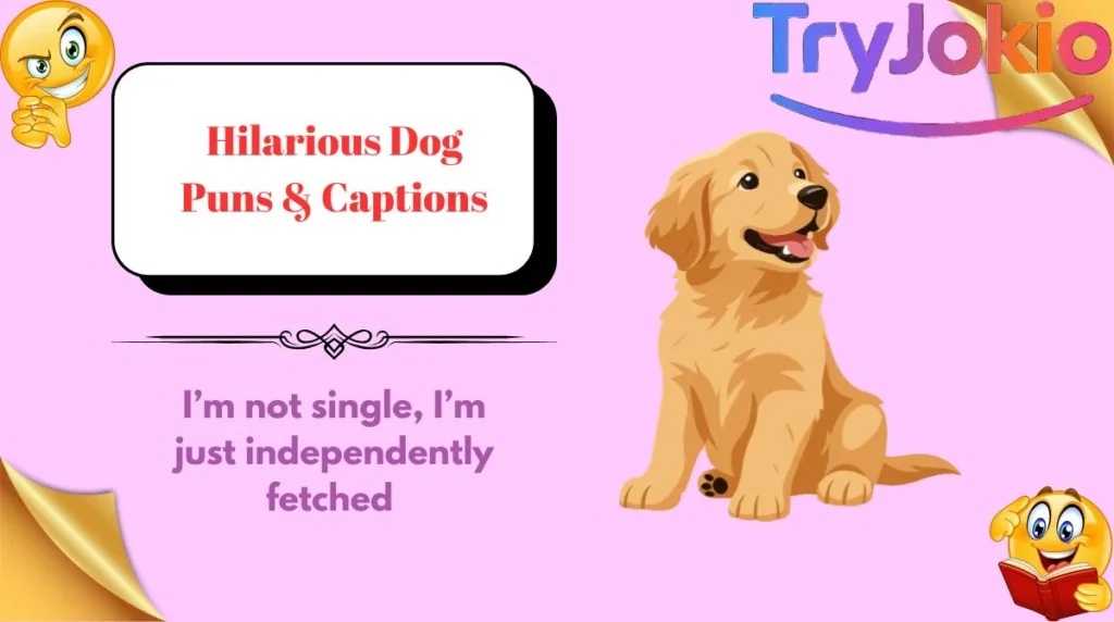 Hilarious Dog Puns & Captions