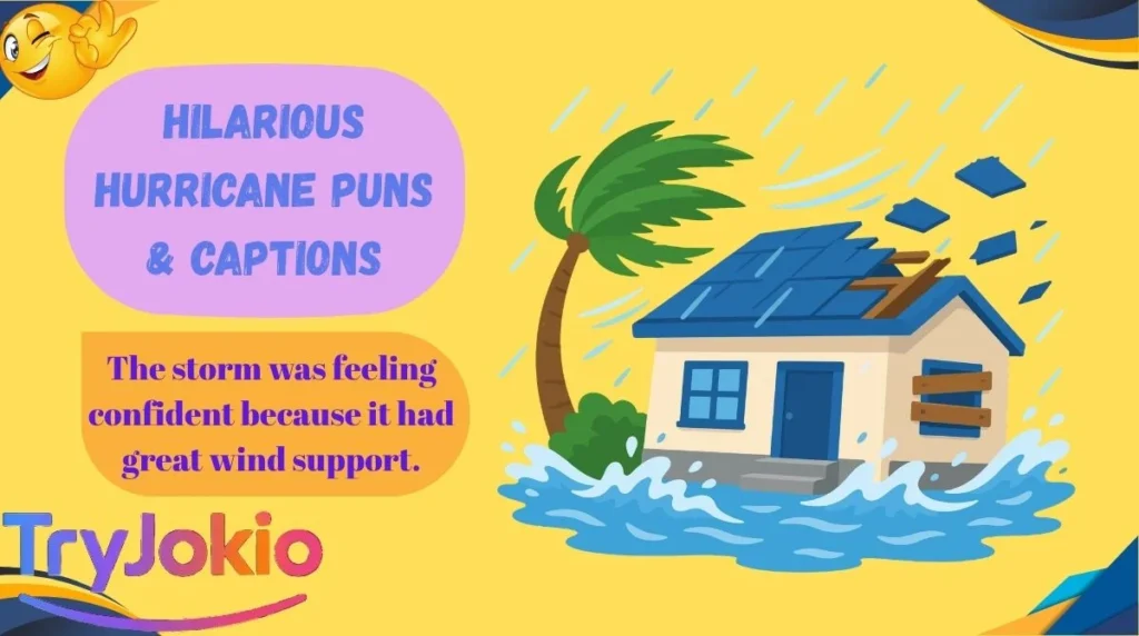 Hilarious Hurricane Puns & Captions