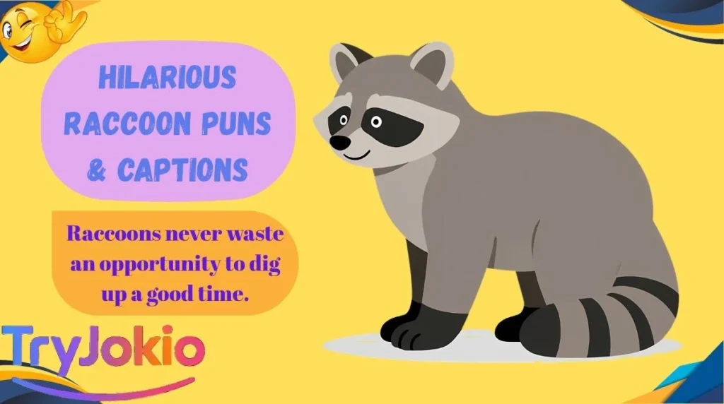 Hilarious Raccoon Puns & Captions