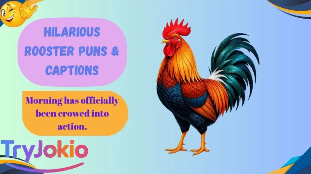 Hilarious Rooster Puns & Captions