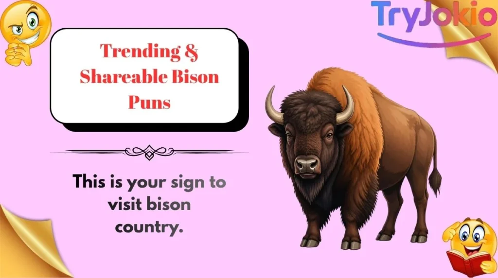 Trending & Shareable Bison Puns