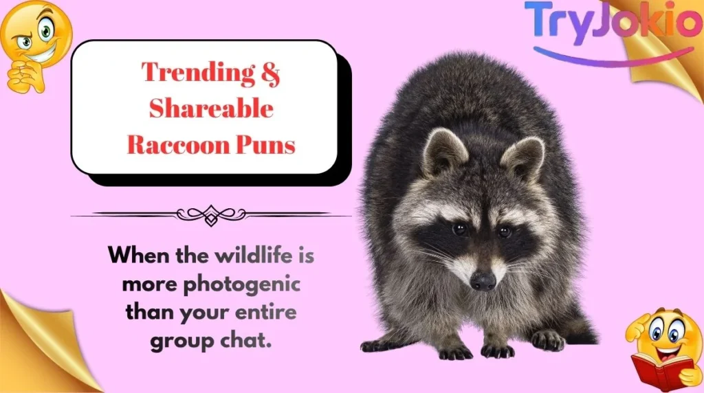Trending & Shareable Raccoon Puns