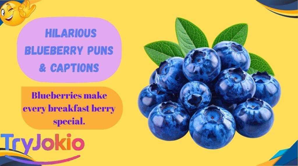  Hilarious Blueberry Puns & Captions