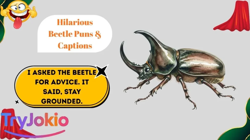 Hilarious Beetle Puns & Captions