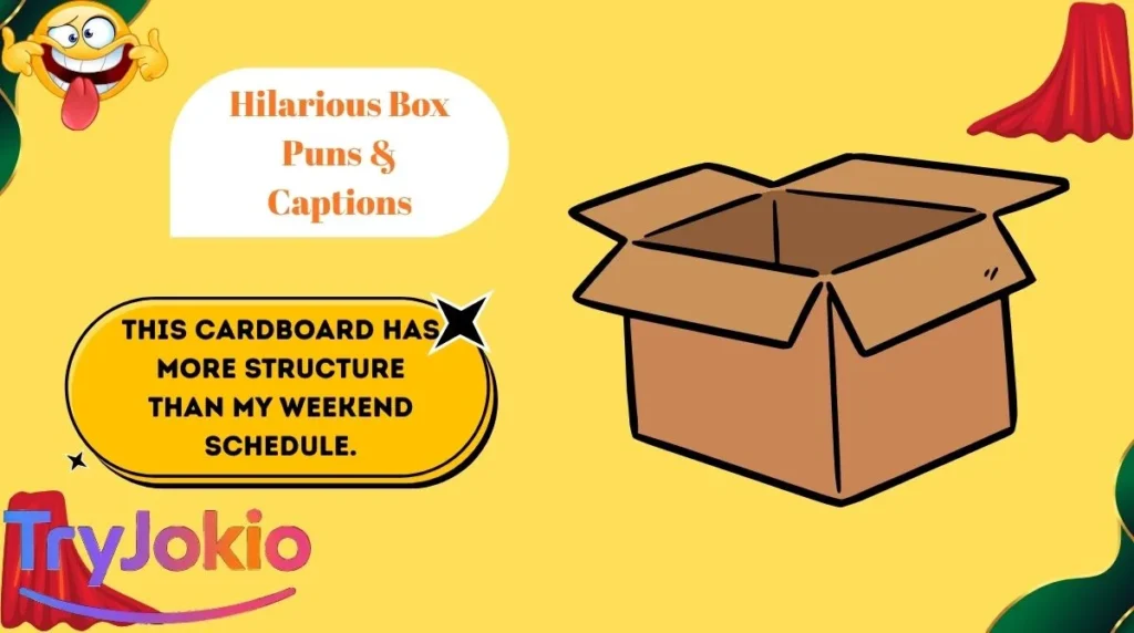 Hilarious Box Puns & Captions