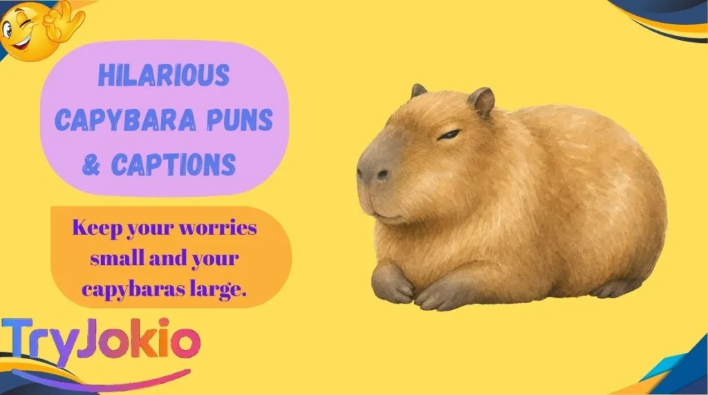 Hilarious Capybara Puns & Captions