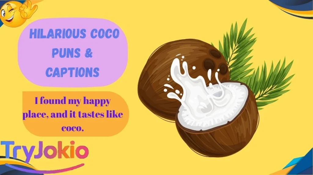 Hilarious Coco Puns & Captions