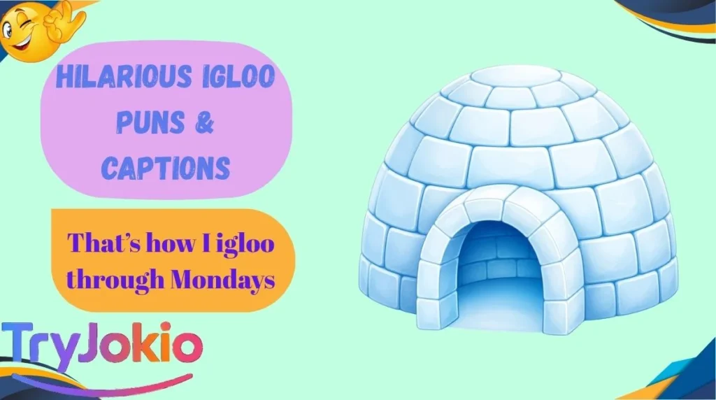 Hilarious Igloo Puns & Captions
