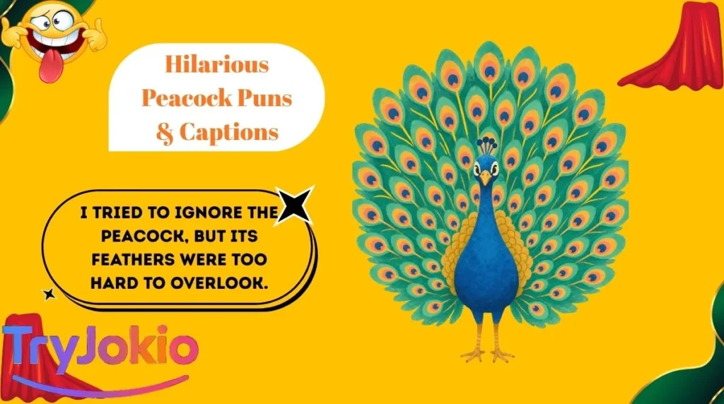 Hilarious Peacock Puns & Captions