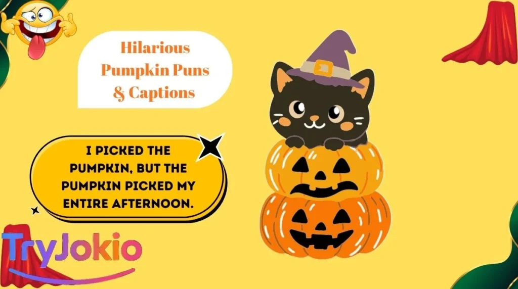 Hilarious Pumpkin Puns & Captions 