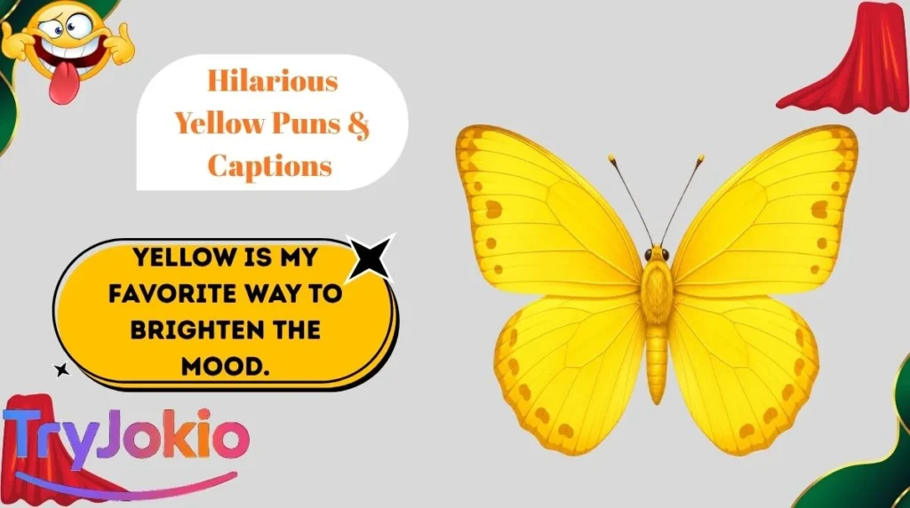 Hilarious Yellow Puns & Captions