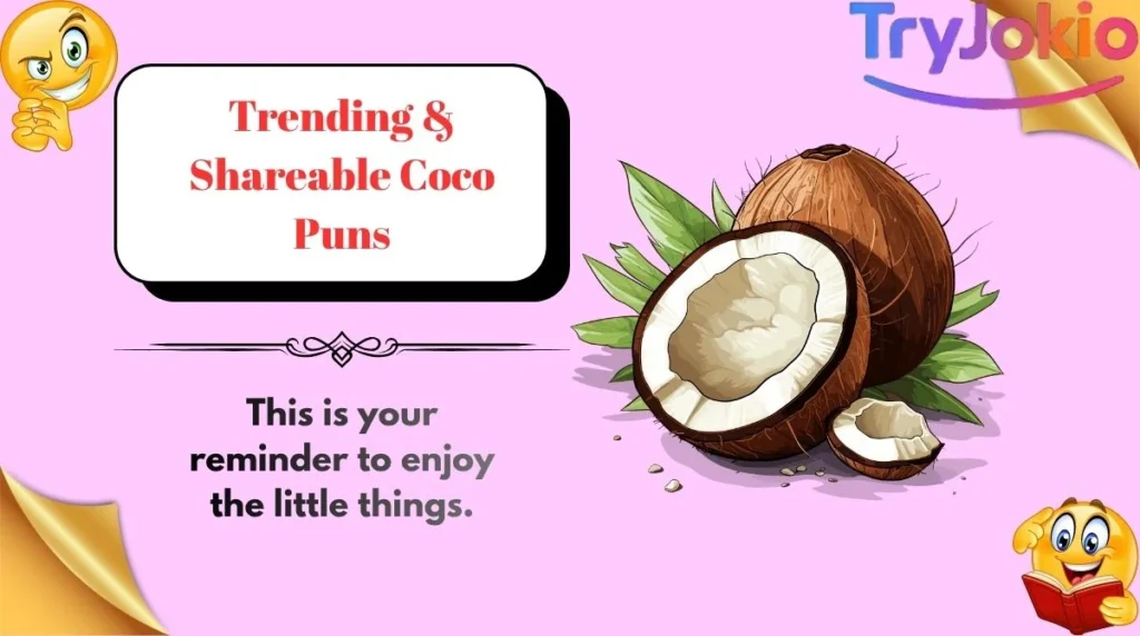 Trending & Shareable Coco Puns